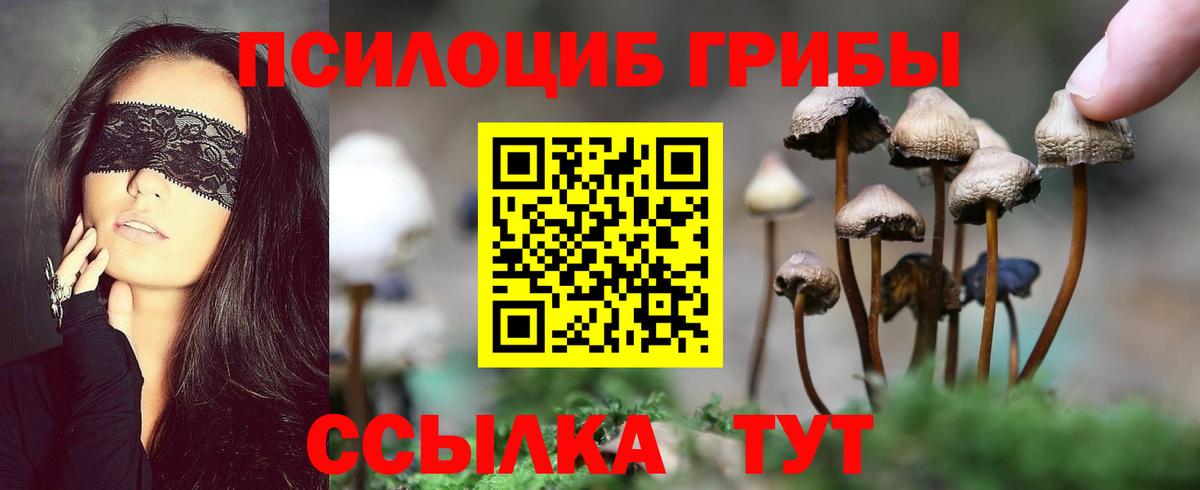 Лабинск  хочу   Вход с VPN  Галлюциногенные грибы мухоморы 